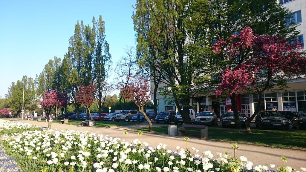 Hello Gdynia Hostel エクステリア 写真